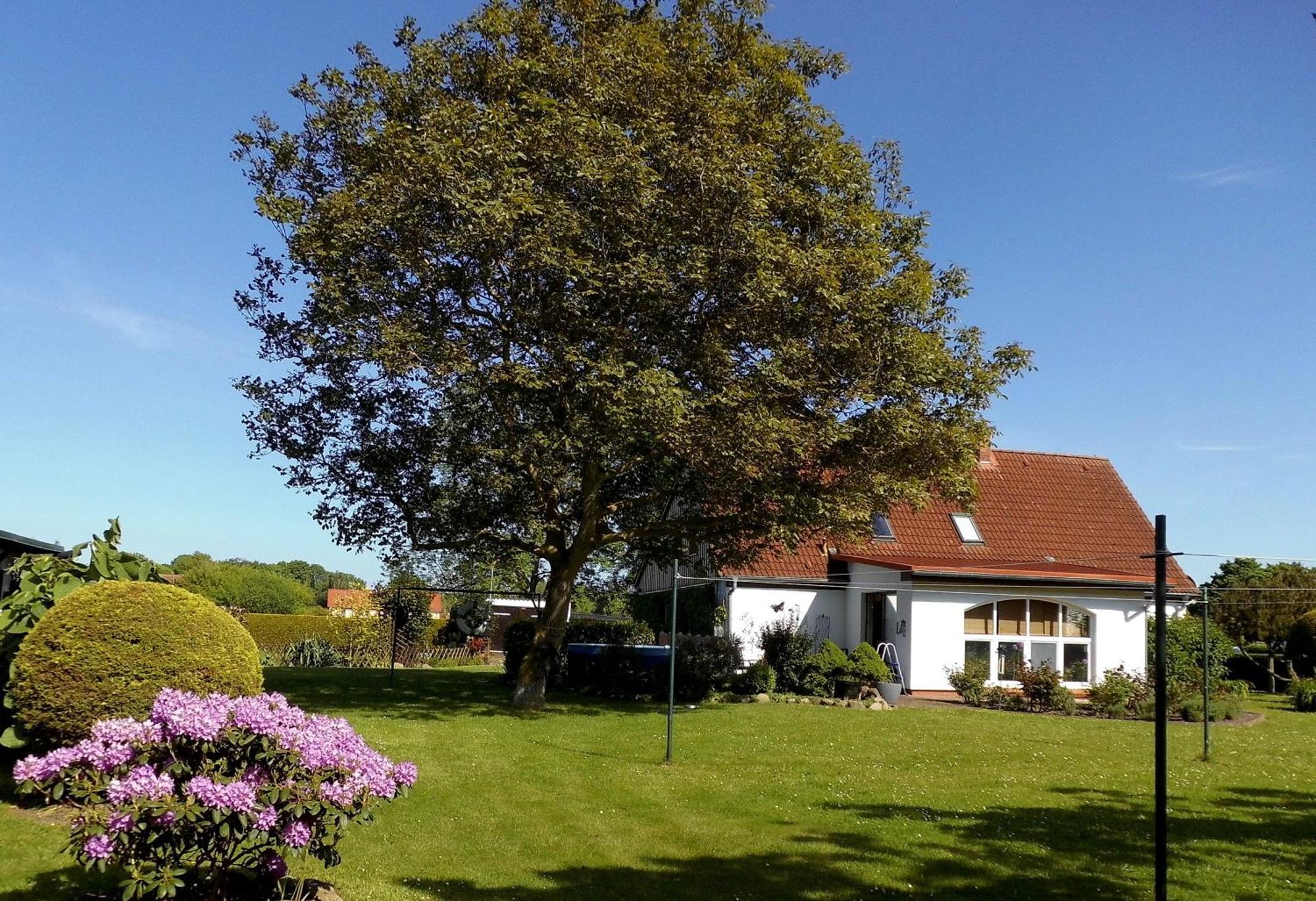 Bungalow Und Ferienwohnung Auf Ruegen Kluis المظهر الخارجي الصورة